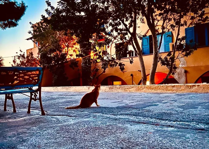 بيت شباب Chrissi Ammos